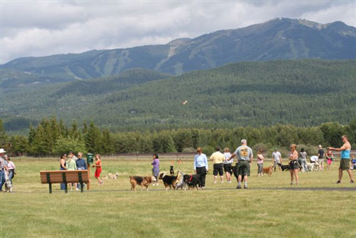 Wag Dogpark 