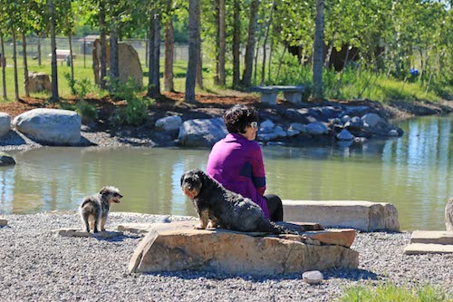 wag dog park whitefish pond