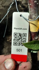 Plant QR tags