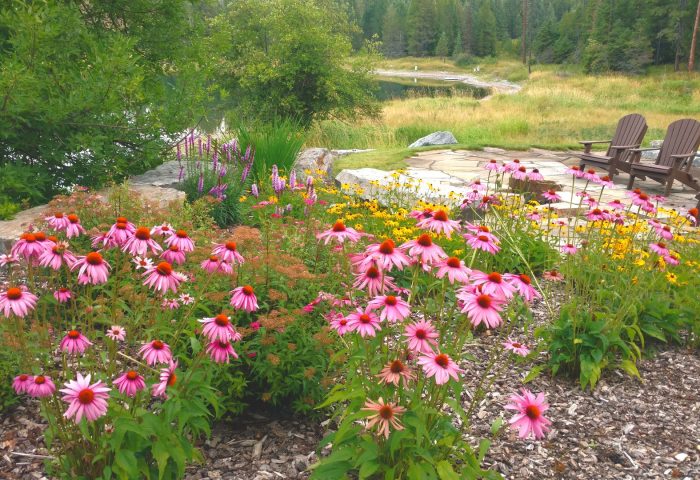 Coneflower and black-eyed Susan planting bed with mulched borders, garden design by Beargrass Landscape Architecture