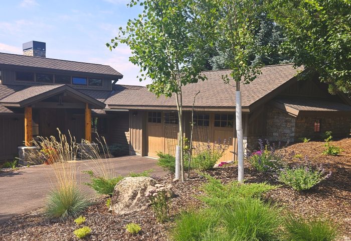 Front entry landscaping with birch trees, ornamental grasses, and boulder accent along a driveway, Beargrass Landscape Architecture